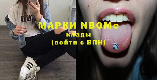 индика Нефтекумск