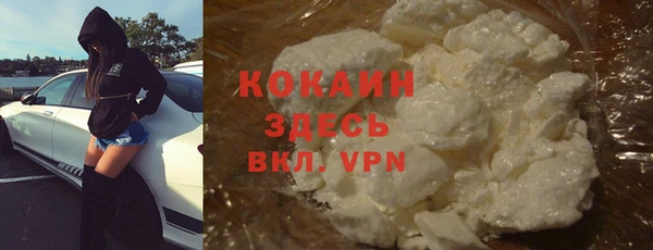 индика Нефтекумск