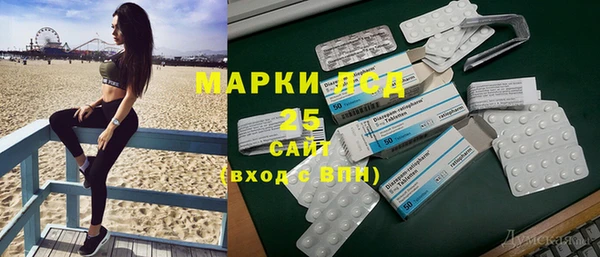 индика Нефтекумск