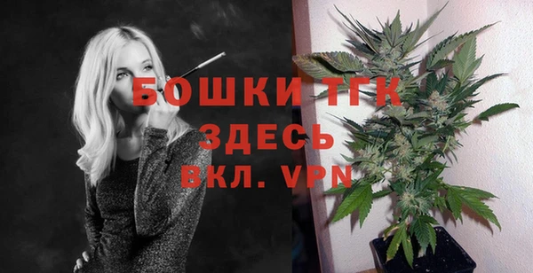 индика Нефтекумск