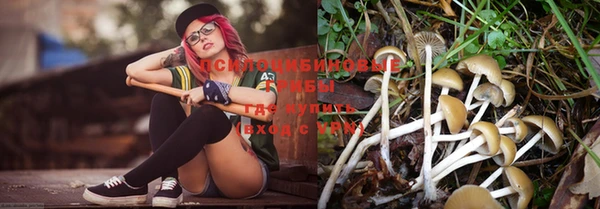 индика Нефтекумск