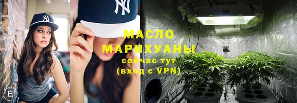индика Нефтекумск